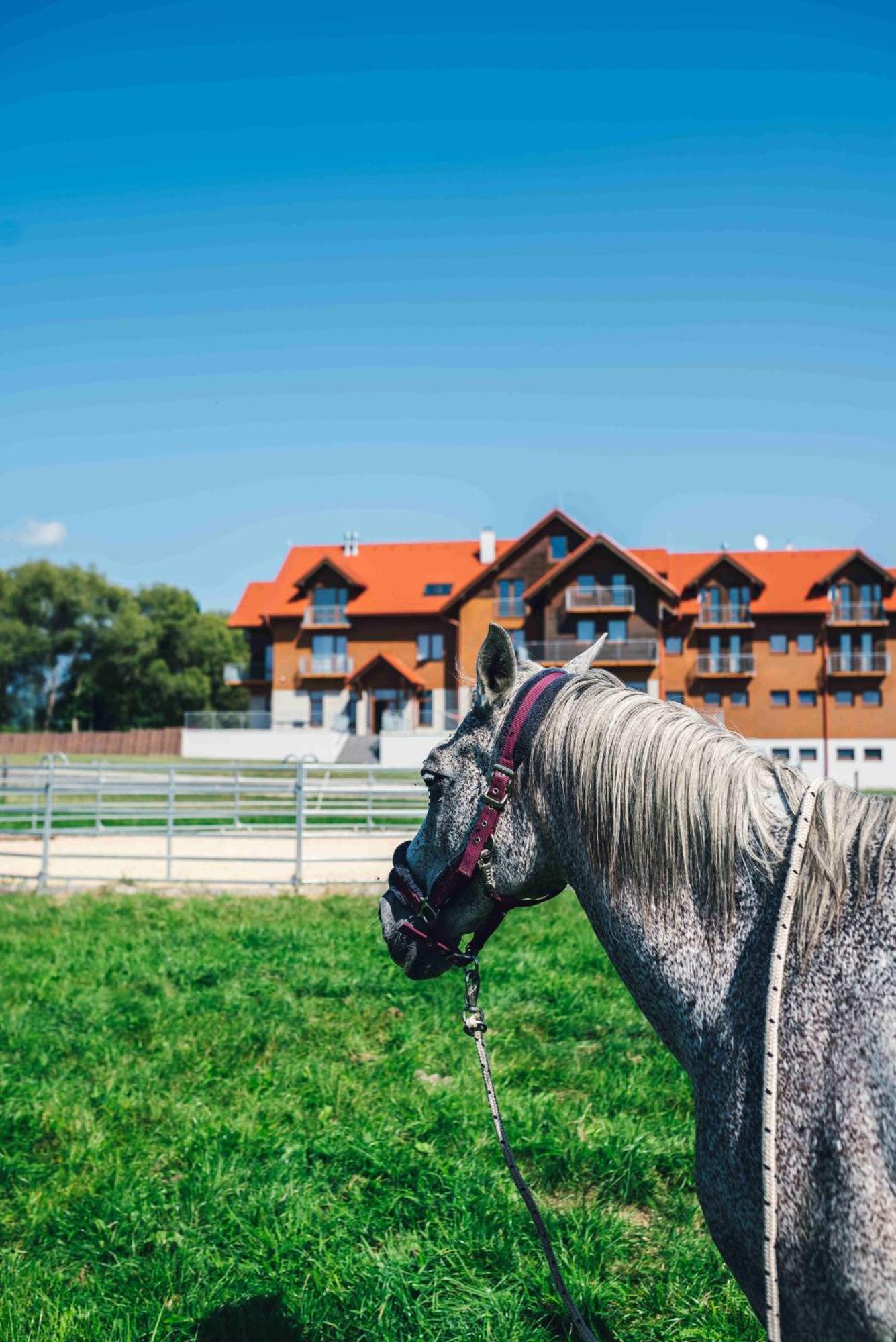 Penzion Kamence Liptovský Mikuláš Exterior foto